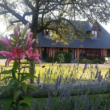 Mam'zelle Bonaventure& Guest house